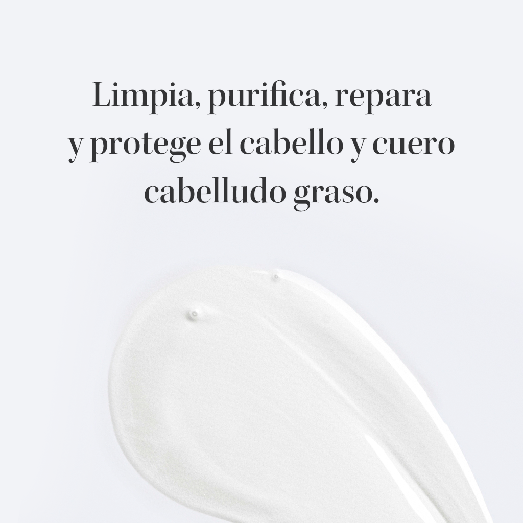 Champú Cabello Graso